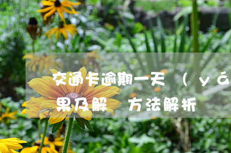 交通卡逾期一天嚴(yán)重嗎？后果及解決方法解析
